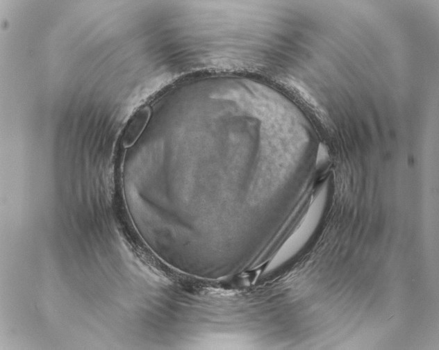 X0000088580488200706151715