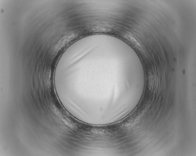 X0000088580490200706151715