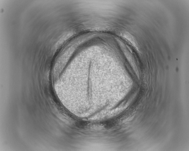 X0000088580491200706151715