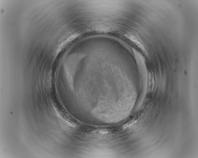 X0000088580492200706151715