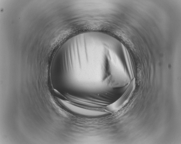 X0000088580493200706151715