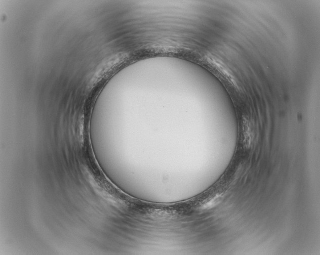 X0000088580494200706151715