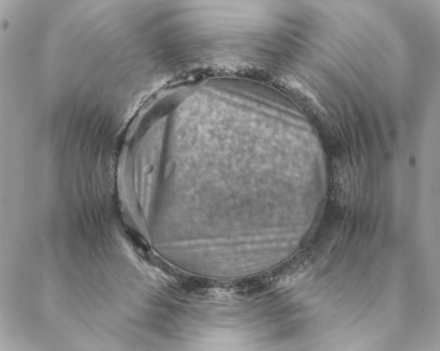 X0000088580496200706151715