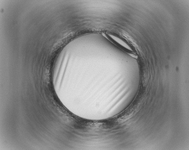 X0000088580497200706151715