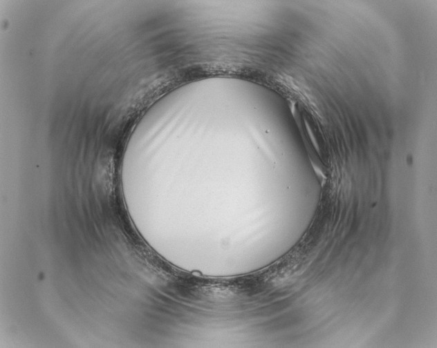 X0000088580498200706151715