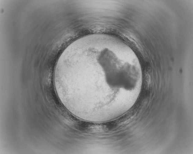 X0000088580499200706151715