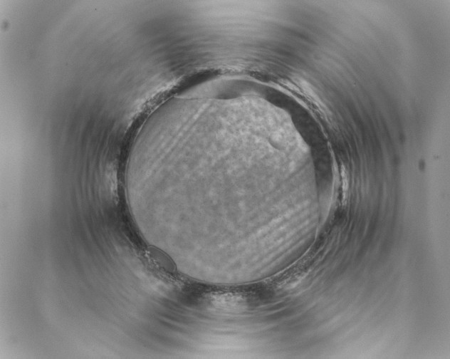 X0000088580500200706151715