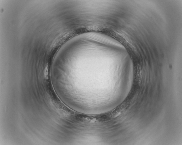 X0000088580502200706151715