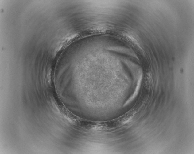 X0000088580504200706151715