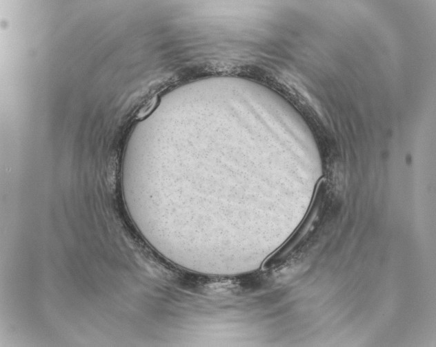 X0000088580505200706151715