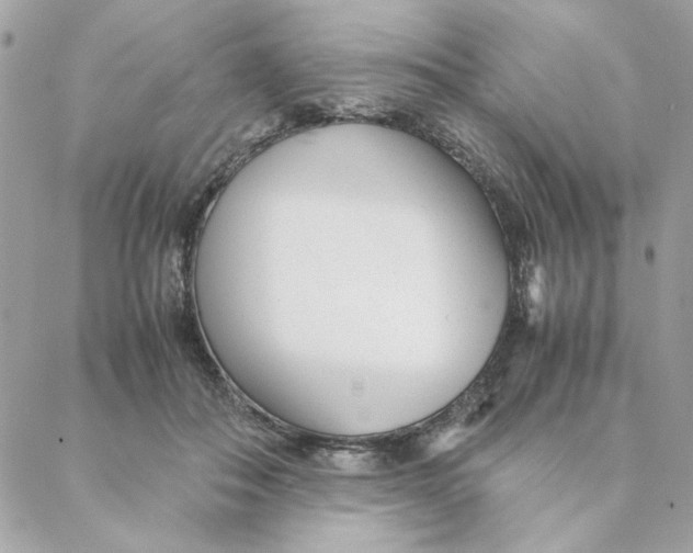 X0000088580506200706151715