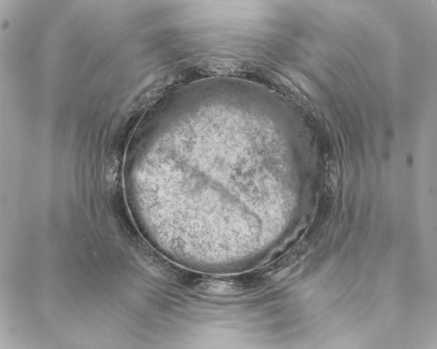 X0000088580507200706151715