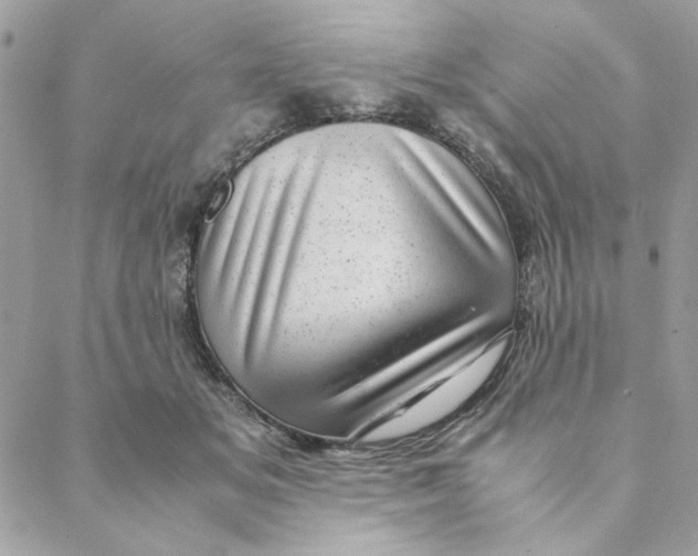 X0000088580509200706151715