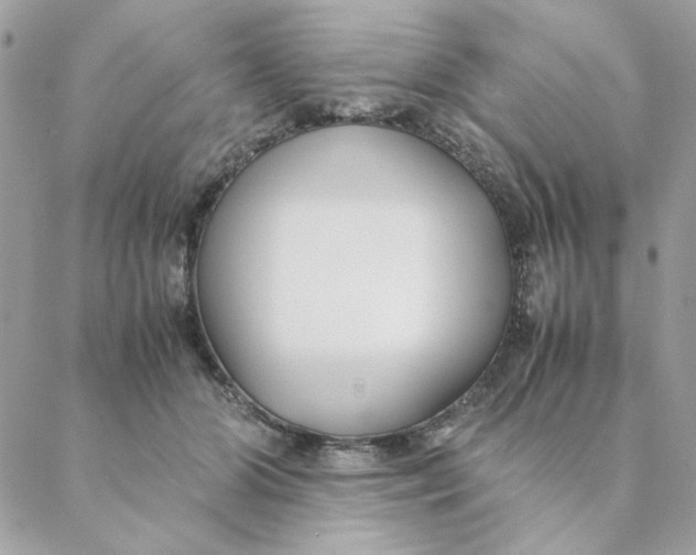 X0000088580510200706151715