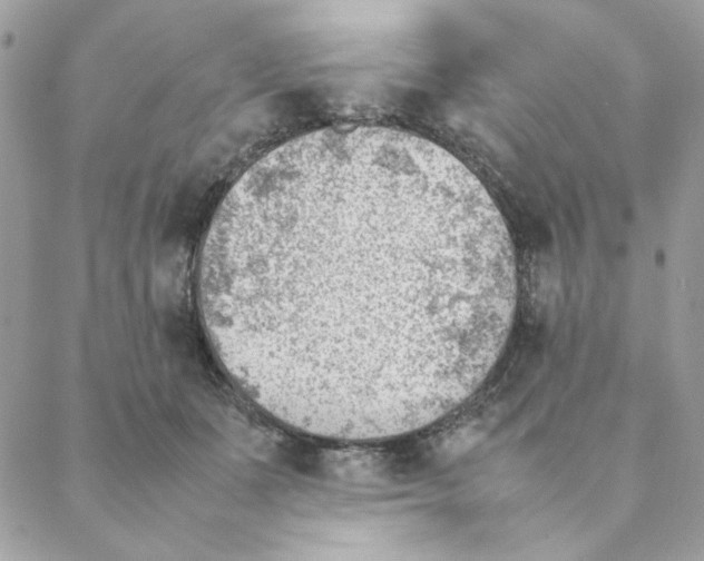 X0000088580511200706151715