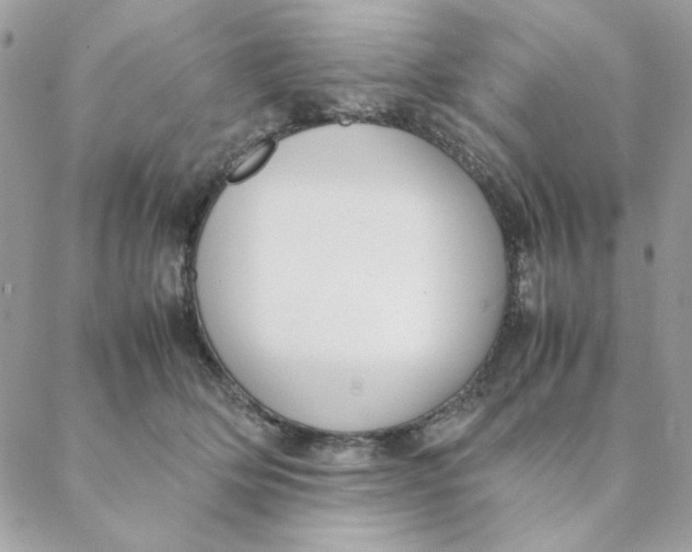 X0000088580514200706151715