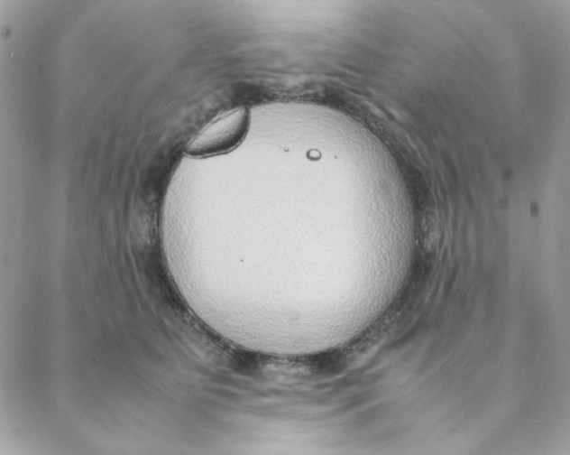 X0000088580515200706151715