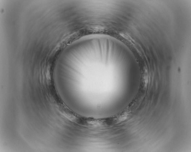 X0000088580516200706151715