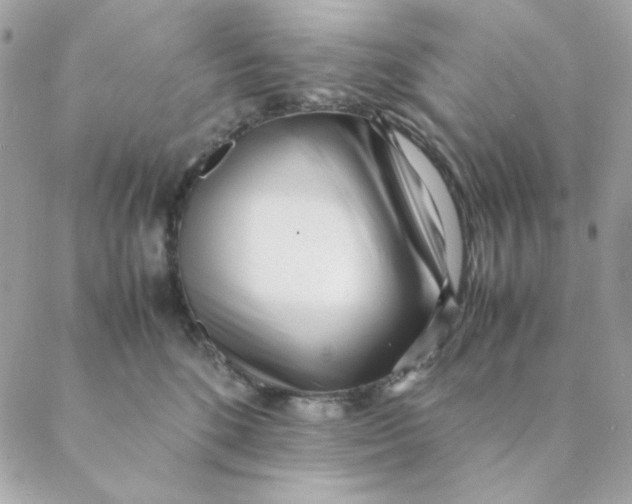 X0000088580520200706151714