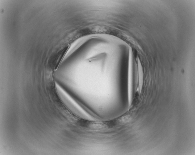 X0000088580521200706151714