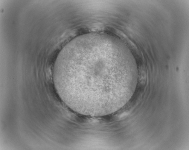 X0000088580523200706151714