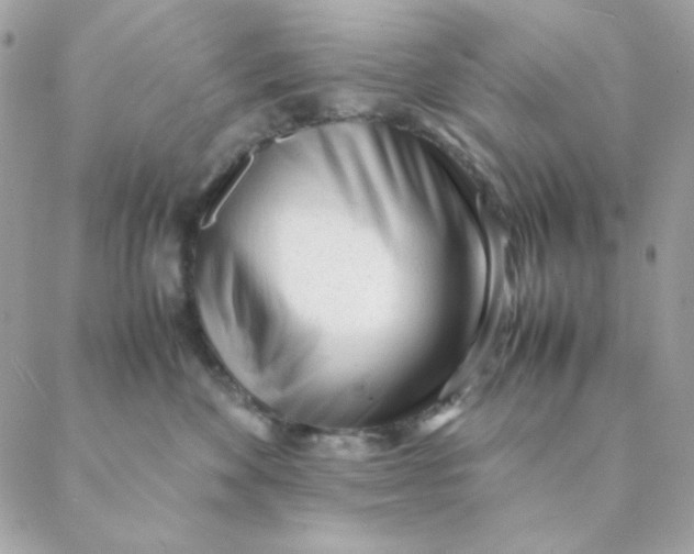 X0000088580524200706151714