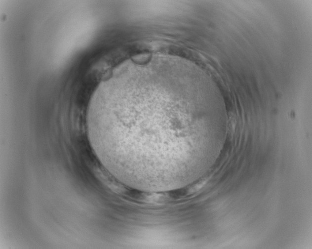 X0000088580527200706151714