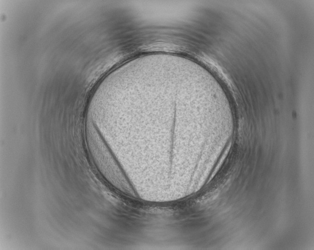 X0000088580529200706151714