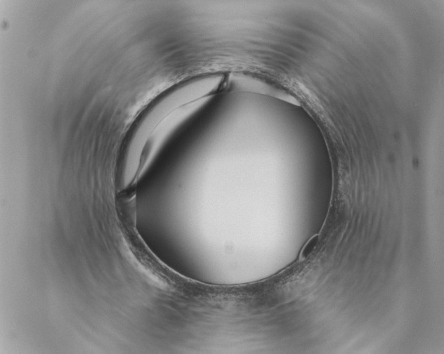 X0000088580530200706151714