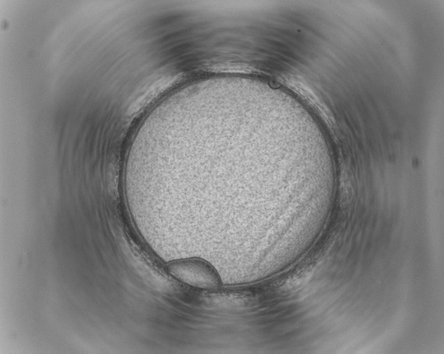 X0000088580533200706151714