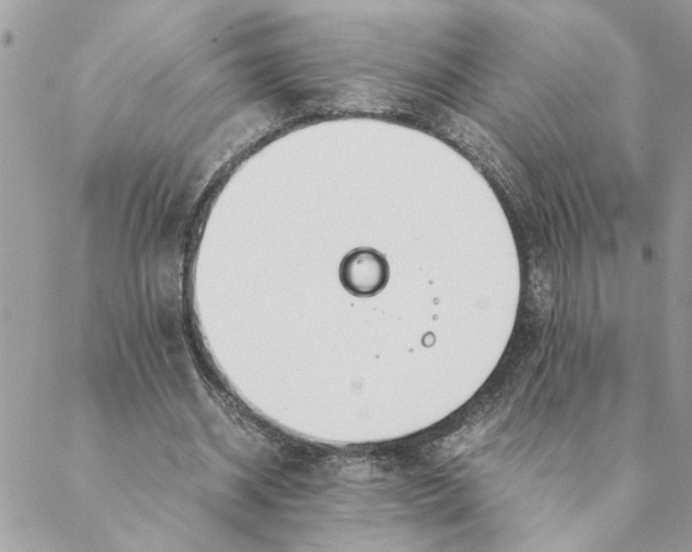 X0000088580534200706151714