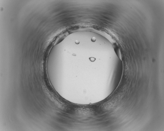 X0000088580535200706151714