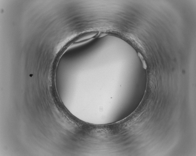 X0000088580536200706151714