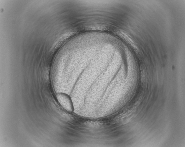 X0000088580537200706151714