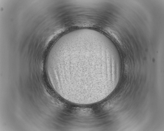 X0000088580539200706151714