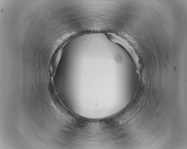 X0000088580540200706151714