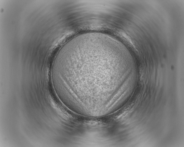 X0000088580542200706151714