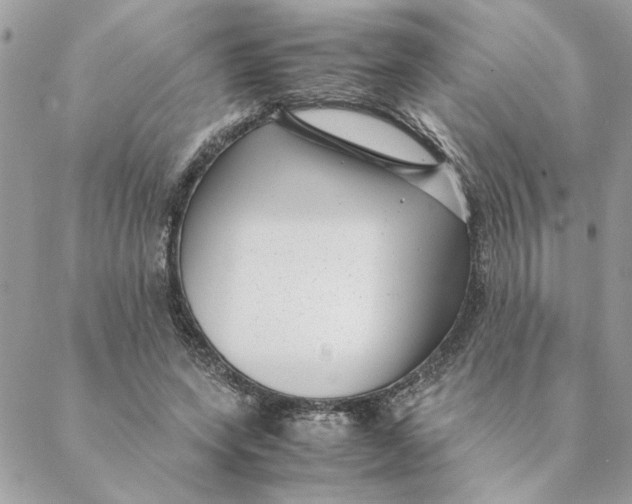 X0000088580543200706151714