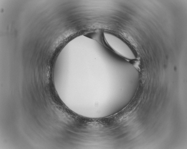 X0000088580544200706151714