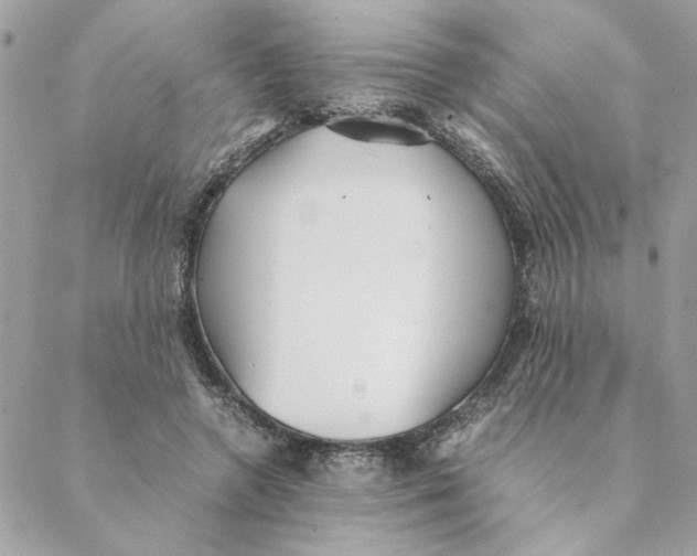 X0000088580546200706151714