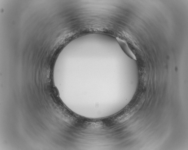 X0000088580548200706151714