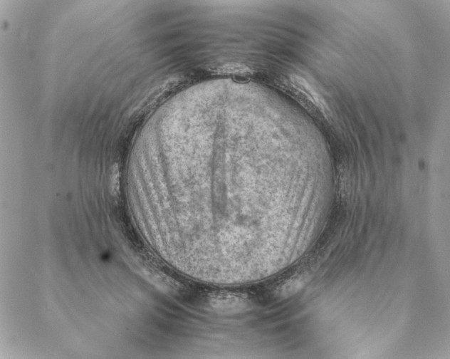 X0000088580549200706151714