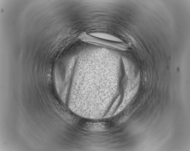 X0000088580553200706151714