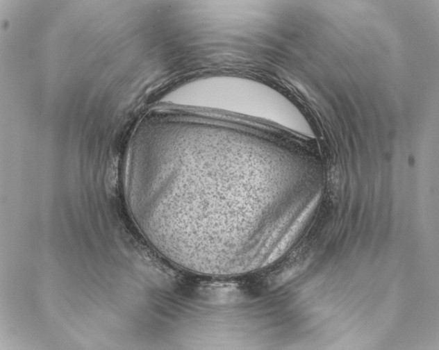 X0000088580554200706151714