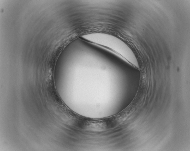 X0000088580555200706151714