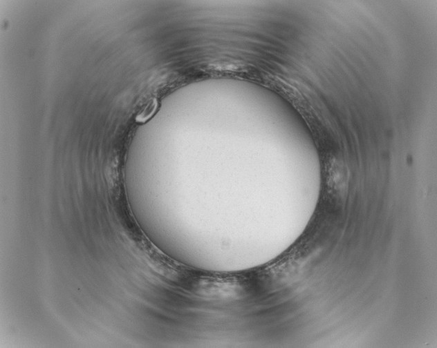 X0000088580559200706151714