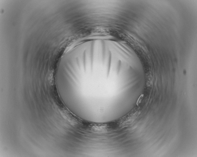 X0000088580560200706151714