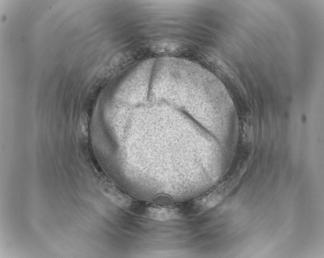 X0000088580561200706151714