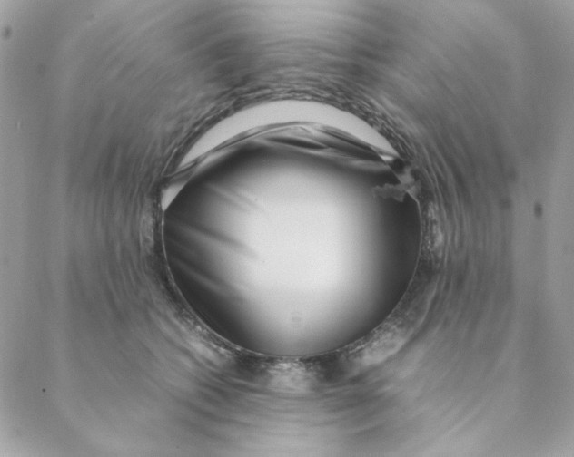 X0000088580562200706151714