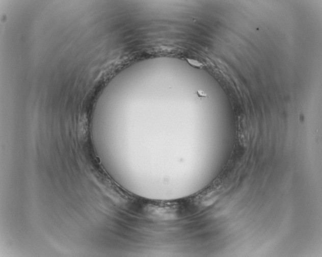 X0000088580563200706151714